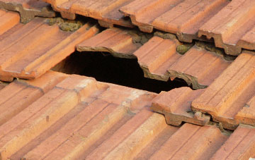 roof repair Woodrising, Norfolk