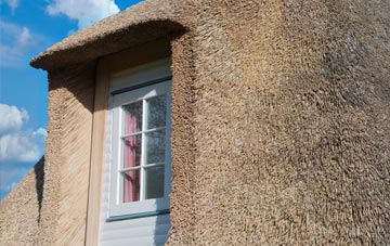 Woodrising thatch roof disadvantages