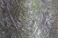 Woodrising fibreglass roof work